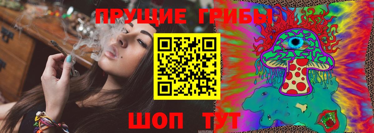 Псилоцибиновые грибы Cubensis Горно-Алтайск