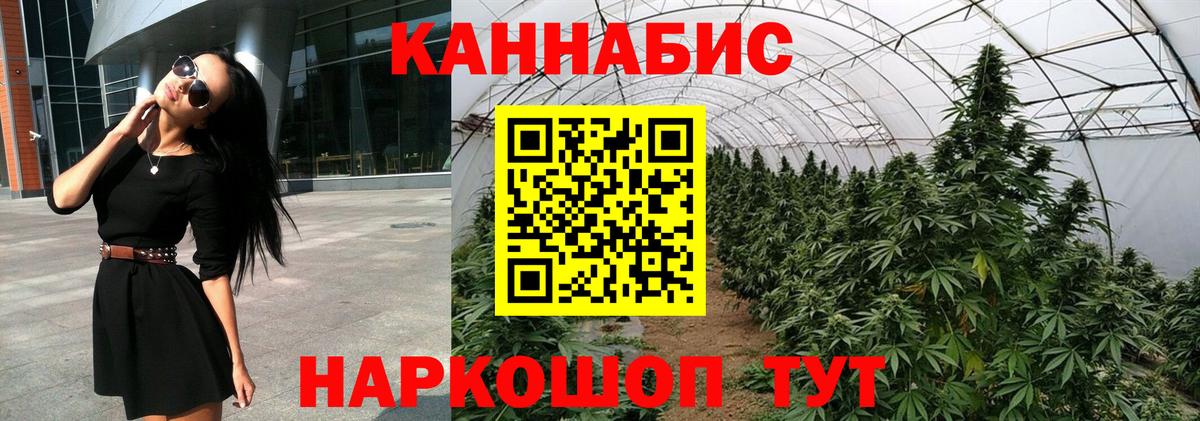 Бошки Шишки гибрид Горно-Алтайск